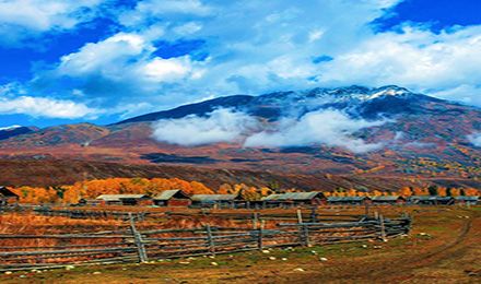 可可托海+喀納斯+禾木+那拉提+巴音布魯克+賽里木湖+霍爾果斯口岸+薰衣草園 環游北疆八日游